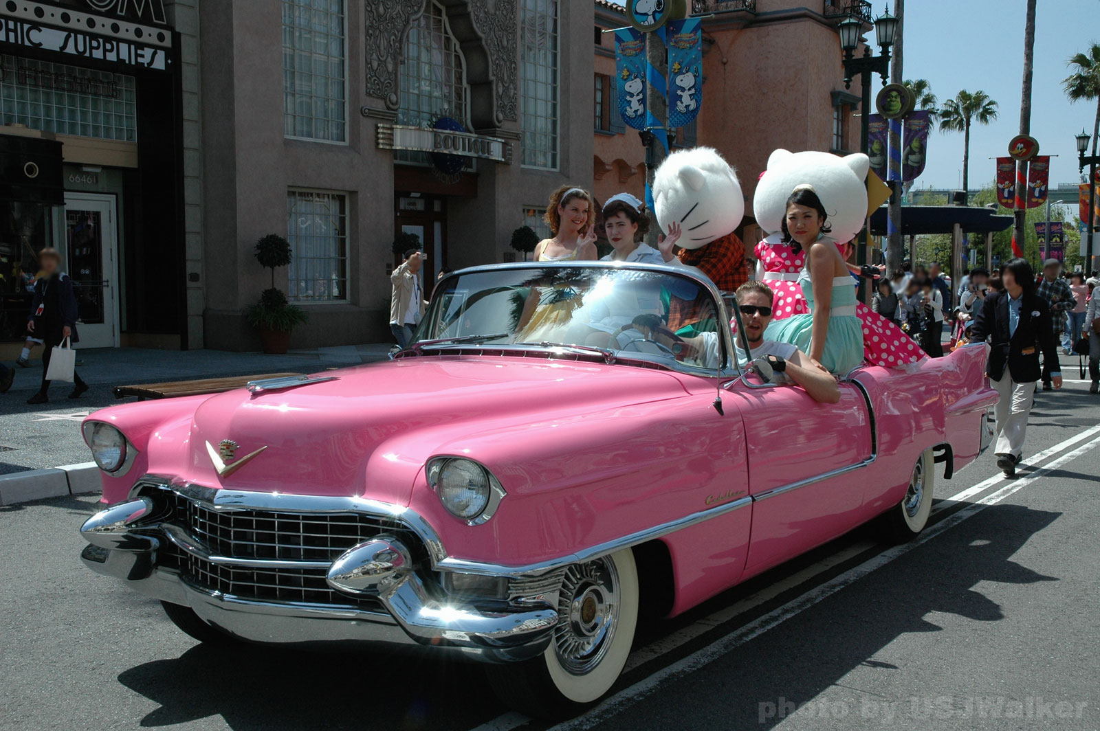Pink Cadillac